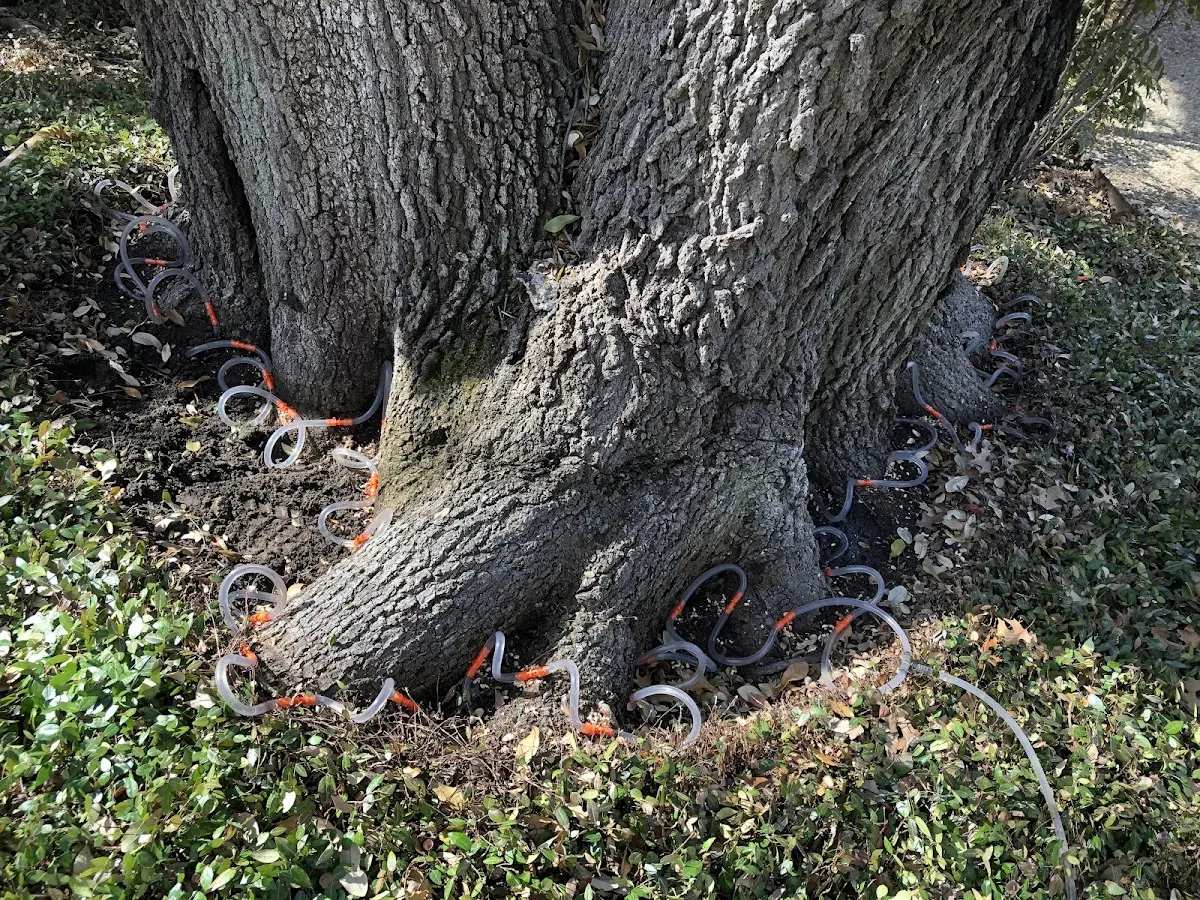 Detailed Shrub and Hedge Trimming job site in Hosston
